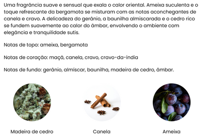Conjunto Aromatizador de Ambiente e Spray para Casa Premium | AROMATIC•89•
